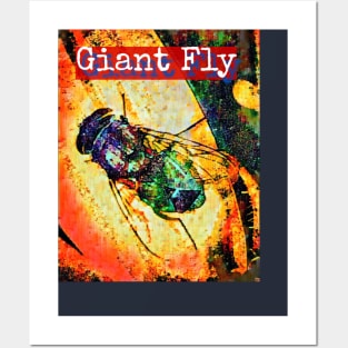 Giant Fly Posters and Art